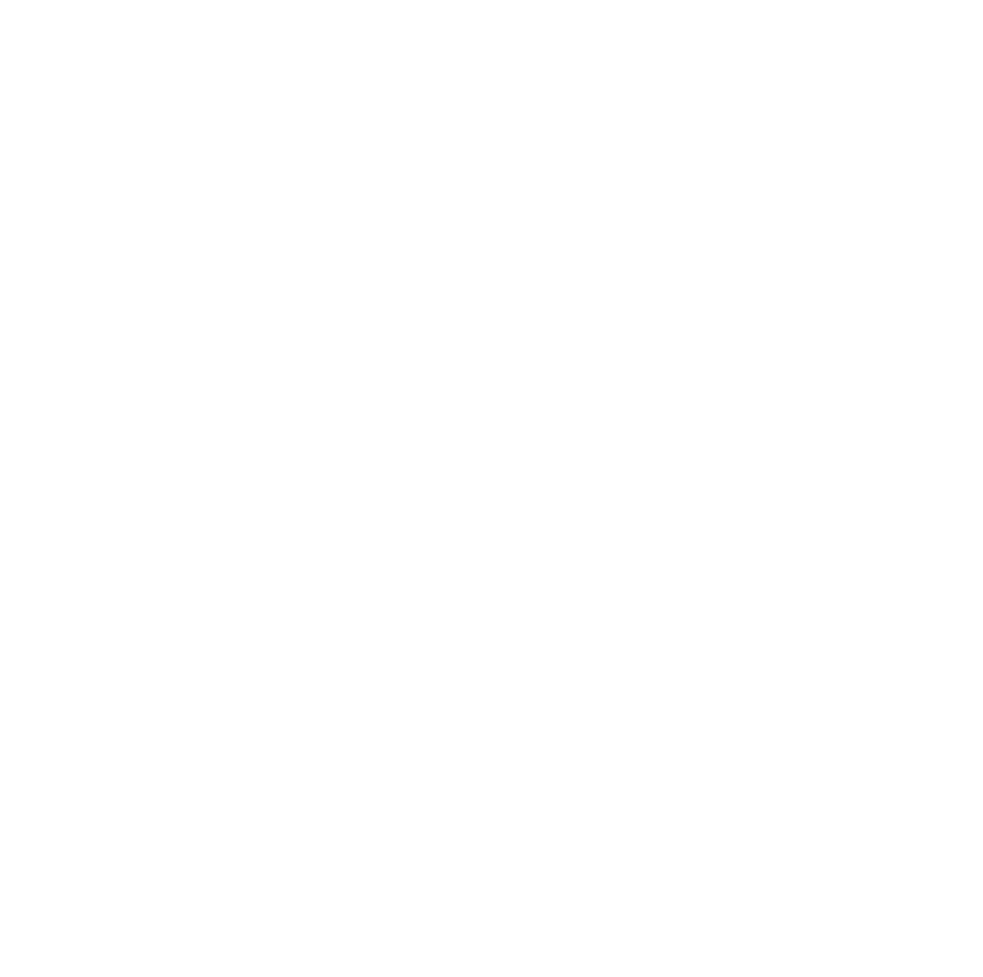 WALL ST 55